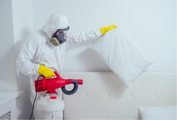 Bed Bug Remediation